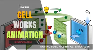 Understanding Fuel Cells: Animated Guide to Their Functionality and Benefits