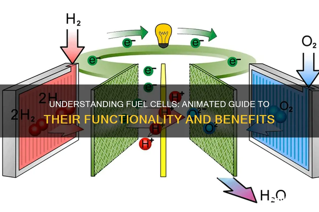 how fuel cell works animation