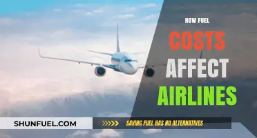 Soaring Fuel Costs: How Airlines Navigate Economic Turbulence