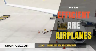 Exploring Airplanes' Fuel Efficiency: Myths, Facts, and Future Innovations