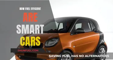 Smart Cars: Fuel Efficiency and Performance Reviewed