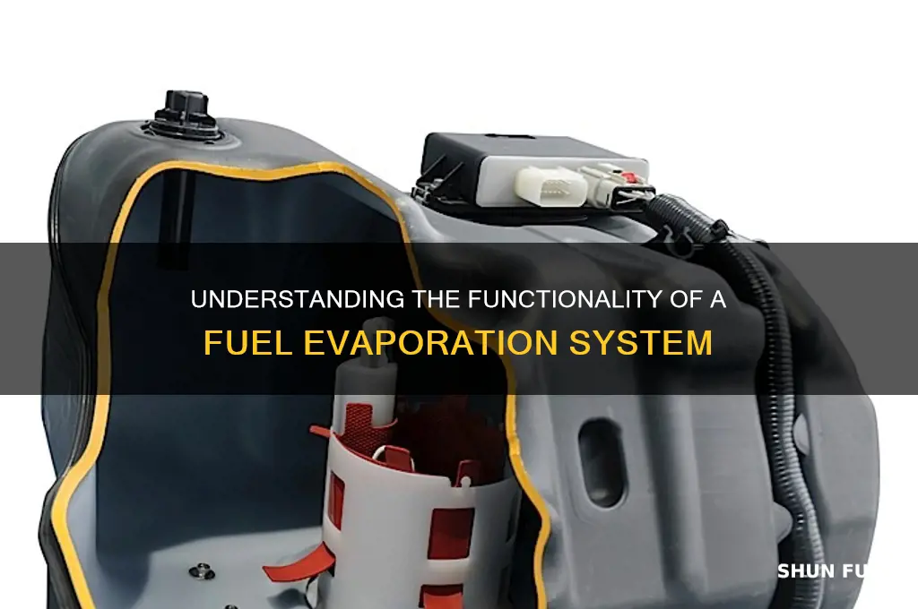 how fuel evap system works
