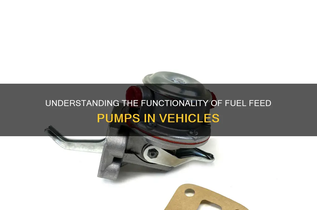 how fuel feed pump works