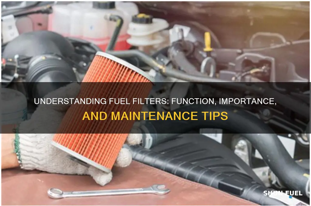 how fuel filters work