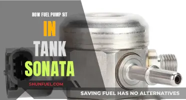 Fuel Pump Sonata: How to Sit It in the Tank
