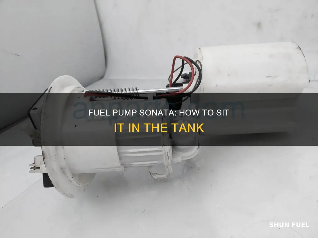 how fuel pump sit in tank sonata