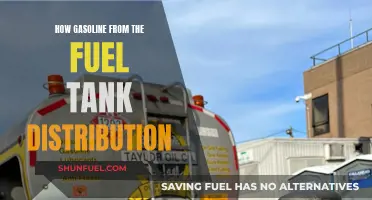 Gasoline Journey: Fuel Tank to Engine