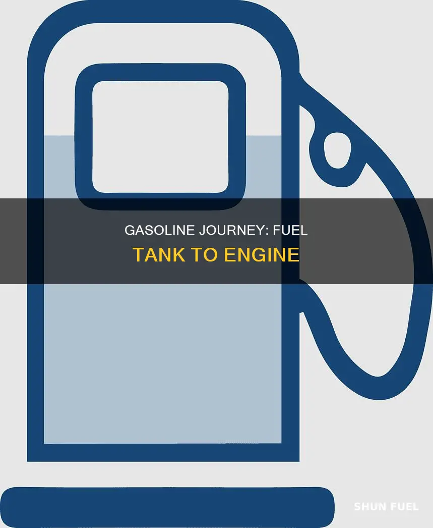 how gasoline from the fuel tank distribution