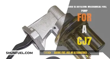 AutoZone Mechanical Fuel Pump Performance Review for Jeep CJ7