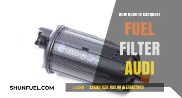 CarQuest Fuel Filter: Audi's Performance Enhancer?