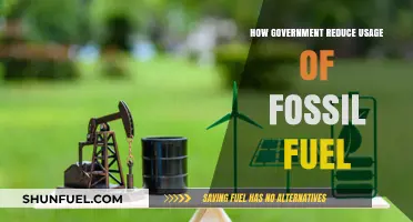 Sustainable Shift: Government Strategies to Curb Fossil Fuel Dependence