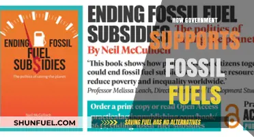 Government Policies Fueling Fossil Fuel Dependence: A Critical Analysis