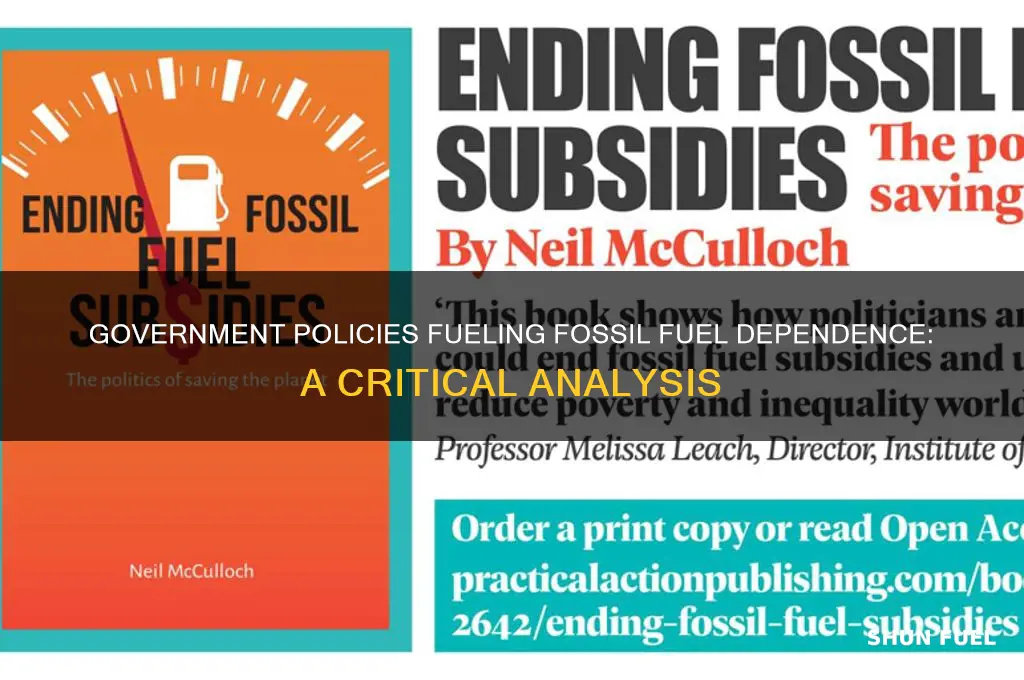 how government supports fossil fuels