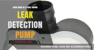 Understanding the Complexity of Fuel Vapor Leak Detection Pumps