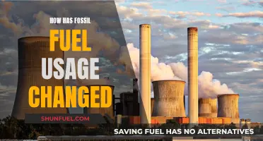 The Evolution of Fossil Fuel Usage: Past, Present, Future