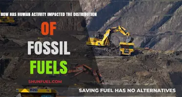 Human Activity's Role in Shaping Fossil Fuel Distribution Patterns