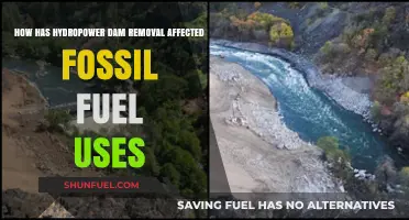 Hydropower Dam Removal: Impact on Fossil Fuel Dependency and Energy Transition