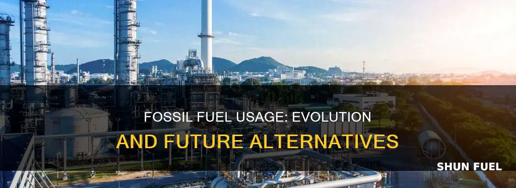 how has the use of fossil fuels changed over time