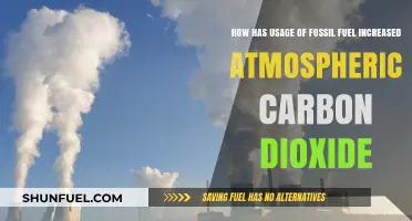 Fossil Fuel Dependence: Driving Atmospheric CO2 Levels to New Highs