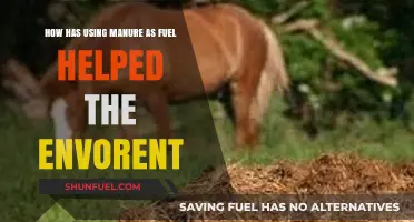 Manure as Fuel: Sustainable Energy Benefits for the Environment