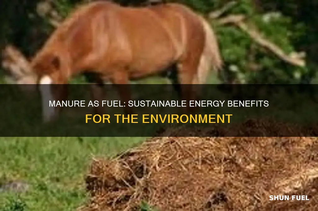 how has using manure as fuel helped the envorent