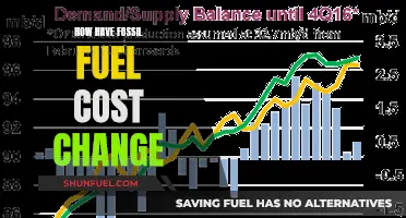 Fossil Fuel Costs: A Historical Perspective on Price Changes