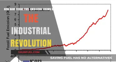 Fossil Fuel Emissions Surge: Tracking Growth Since the Industrial Revolution