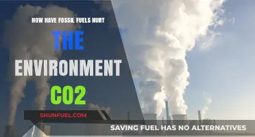 Fossil Fuels' CO2 Emissions: Devastating Environmental Impacts and Consequences