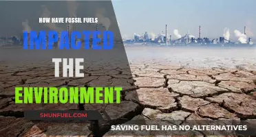 Fossil Fuels' Environmental Impact: A Comprehensive Analysis of Consequences