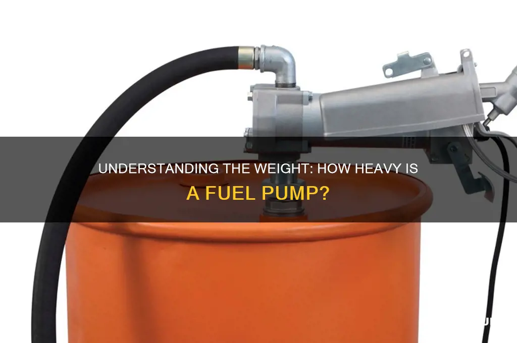 how heavy is a fuel pump
