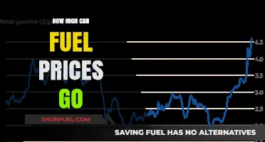 Skyrocketing Fuel Costs: Predicting the Peak of Price Hikes