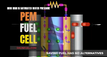 Saturated Water Pressure in PEM Fuel Cells: How High?