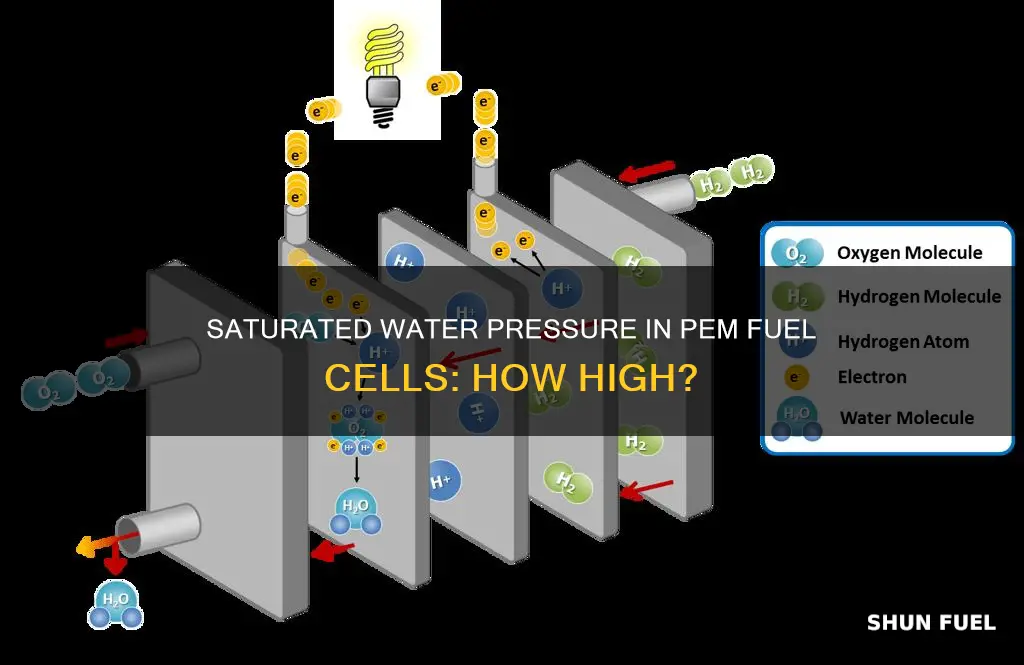 how high is saturated water pressure pem fuel cell