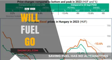 Skyrocketing Fuel Prices: Predicting the Peak and Impact on Consumers