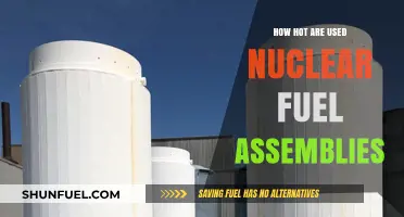 Unveiling the Extreme Heat of Used Nuclear Fuel Assemblies