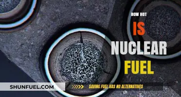 Unveiling the Extreme Temperatures of Nuclear Fuel: A Deep Dive