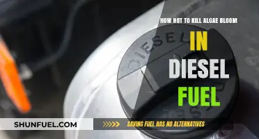 Eradicating Algae Bloom in Diesel: Hot Water Treatment