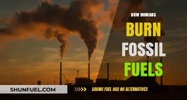 How Humans Burn Fossil Fuels: Impact, Process, and Alternatives