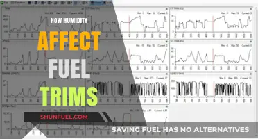 Humidity's Impact on Fuel Trims: Understanding Engine Performance Dynamics