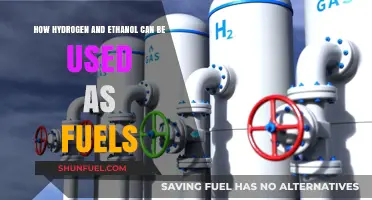 Hydrogen and Ethanol: Clean Fuel Alternatives for a Sustainable Future