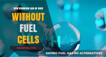 Hydrogen Beyond Fuel Cells: Innovative Applications for a Sustainable Future