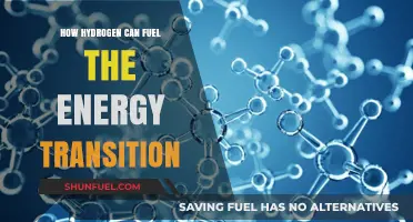 Hydrogen Power: Driving the Global Energy Transition to Sustainability