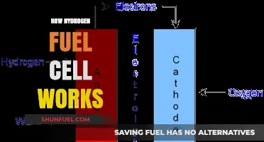 Understanding Hydrogen Fuel Cells: A Comprehensive Guide to Their Functionality