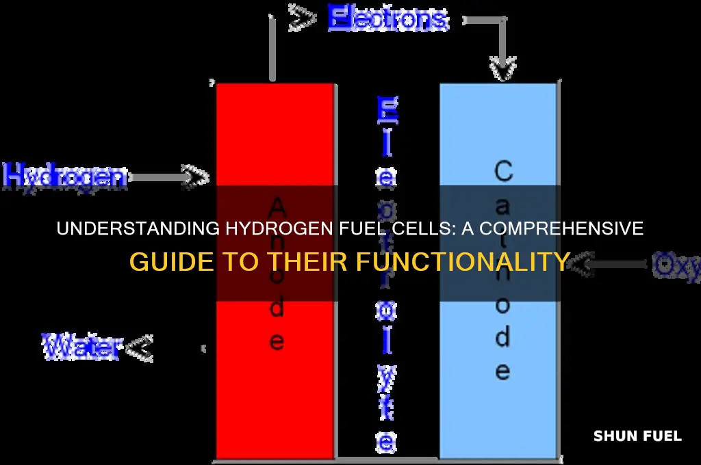 how hydrogen fuel cell works