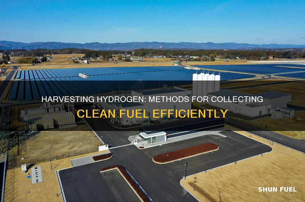 how hydrogen fuel is collected