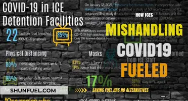 ICES Mismanagement: How COVID-19 Response Fueled Public Health Crisis