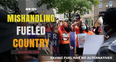 How ICE's Mishandling of Policies Fueled National Division and Crisis