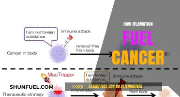 Inflammation's Role: How Chronic Inflammation Fuels Cancer Growth and Progression