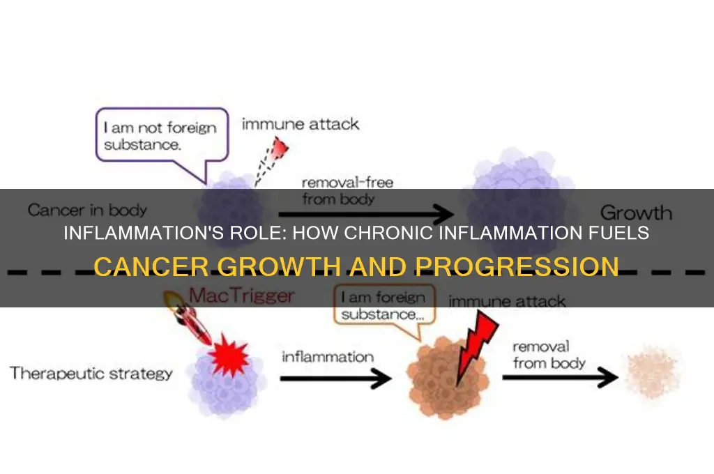 how iflamation fuel cancer