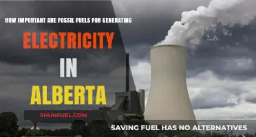 Alberta's Electricity Dependence: The Crucial Role of Fossil Fuels